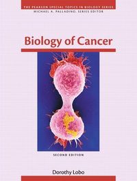 Produktbild: Palladino, M: Biology of Cancer