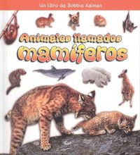 Produktbild: Animales Llamados Mam&iacute;feros (Animals Called Mammals)
