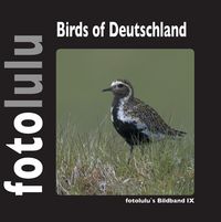 Bild vom Artikel Birds of Deutschland vom Autor Fotolulu