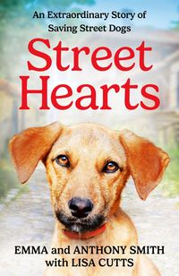 Produktbild: Street Hearts