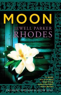 Bild vom Artikel Moon vom Autor Jewell Parker Rhodes
