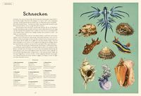 Das Museum des Meeres