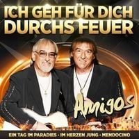 Produktbild: Jahrtausendhits-Ich geh für dich durchs Feuer