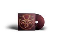 Produktbild: Vicious Rain: Anatomy Of Surviving (Digisleeve)