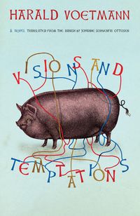 Produktbild: Visions and Temptations