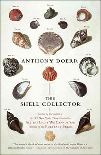 Bild vom Artikel The Shell Collector: Stories vom Autor Anthony Doerr