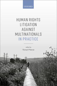 Produktbild: Human Rights Litigation against Multinationals in Practice
