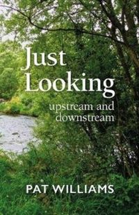 Produktbild: Just Looking