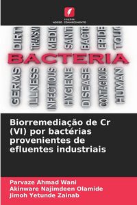 Produktbild: Biorremedia&ccedil;&atilde;o de Cr (VI) por bact&eacute;rias provenientes de efluentes industriais