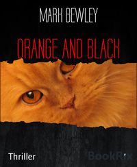 Produktbild: Orange and Black