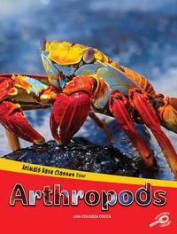 Produktbild: Arthropods
