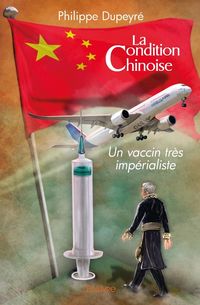 Produktbild: La condition chinoise