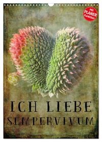 Produktbild: Ich liebe Sempervivum (Wandkalender 2026 DIN A3 hoch), CALVENDO Monatskalender