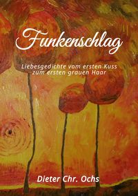 Produktbild: Funkenschlag