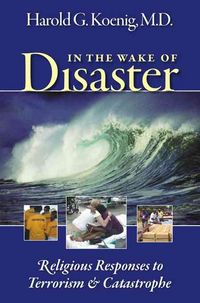 Produktbild: In the Wake of Disaster