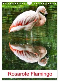 Produktbild: Rosarote Flamingo (Wandkalender 2026 DIN A4 hoch), CALVENDO Monatskalender