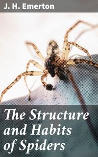 Produktbild: The Structure and Habits of Spiders