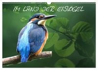 Produktbild: IM LAND DER EISV&Ouml;GEL (Wandkalender 2026 DIN A3 quer), CALVENDO Monatskalender