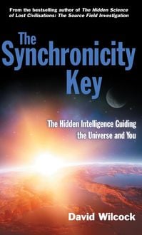 Bild vom Artikel The Synchronicity Key vom Autor David Wilcock