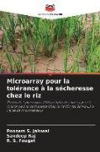 Produktbild: Microarray pour la tol&eacute;rance &agrave; la s&eacute;cheresse chez le riz