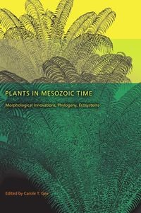 Produktbild: Plants in Mesozoic Time