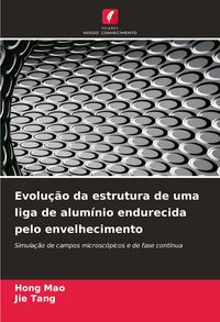 Produktbild: Evolu&ccedil;&atilde;o da estrutura de uma liga de alum&iacute;nio endurecida pelo envelhecimento