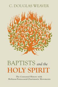 Produktbild: Baptists and the Holy Spirit