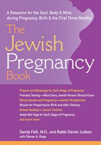 Produktbild: The Jewish Pregnancy Book