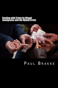 Produktbild: Dealing with Illegal Immigration and the Opioid Crisis