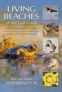 Produktbild: Living Beaches of the Gulf Coast