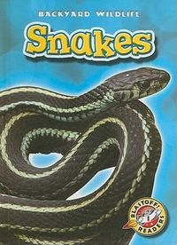 Produktbild: Snakes