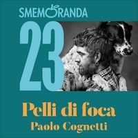 Produktbild: Pelli di foca
