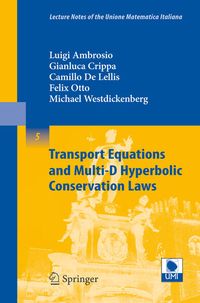 Produktbild: Transport Equations and Multi-D Hyperbolic Conservation Laws
