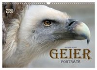 Produktbild: GEIERPORTR&Auml;TS (Wandkalender 2026 DIN A3 quer), CALVENDO Monatskalender