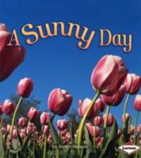 Produktbild: Nelson, R: A Sunny Day