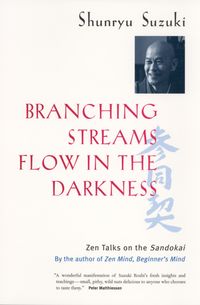 Produktbild: Branching Streams Flow in the Darkness