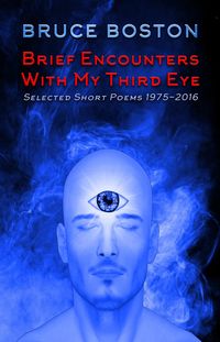 Produktbild: Brief Encounters with my Third Eye: Selected Poems