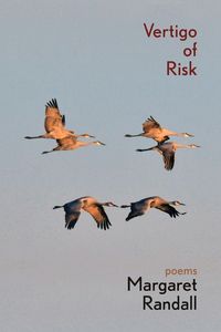 Produktbild: Vertigo of Risk