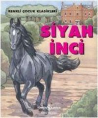 Produktbild: Siyah Inci