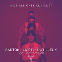Produktbild: Not All Cats Are Grey
