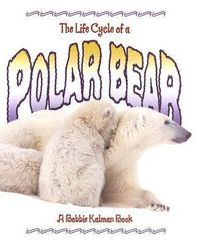 Produktbild: Polar Bear