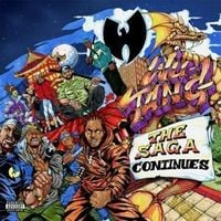 Produktbild: The Saga Continues