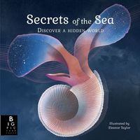 Produktbild: Baker, K: Secrets of the Sea
