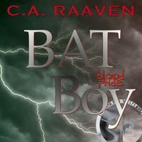 Produktbild: BAT Boy 2