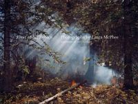 Produktbild: River Of No Return