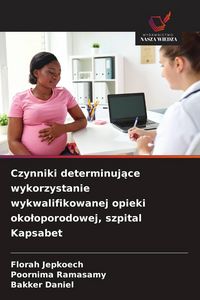Produktbild: Czynniki determinuj&iquest;ce wykorzystanie wykwalifikowanej opieki oko&iquest;oporodowej, szpital Kapsabet