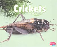 Produktbild: Crickets