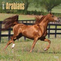 Produktbild: Arabians Calendar