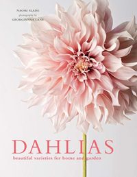 Produktbild: Dahlias