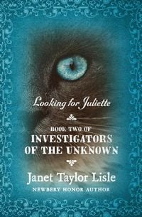 Produktbild: Looking for Juliette